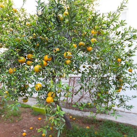 Laila'S Cozy Garden House & Studio Larnaca Luaran gambar