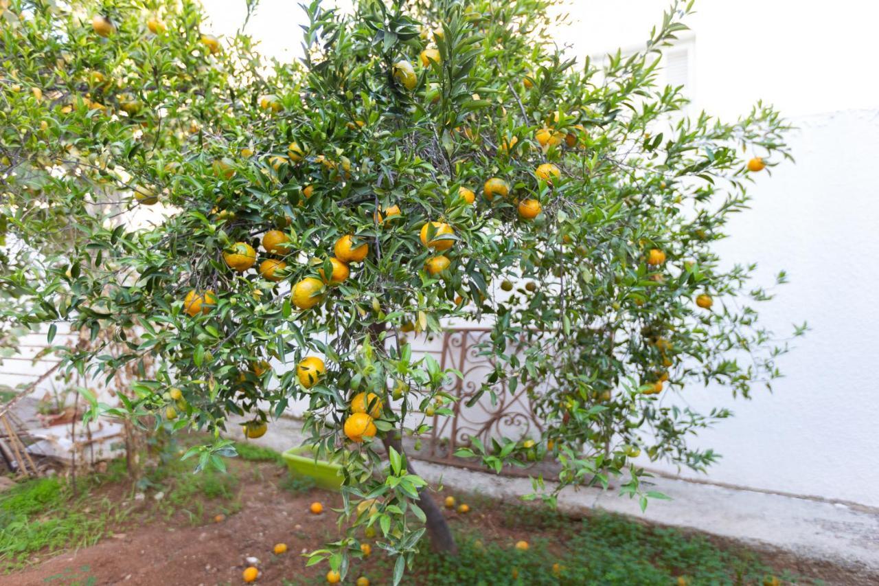 Laila'S Cozy Garden House & Studio Larnaca Luaran gambar