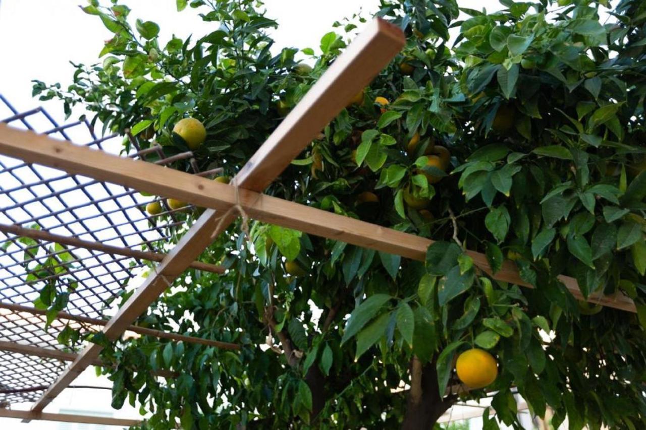 Laila'S Cozy Garden House & Studio Larnaca Luaran gambar